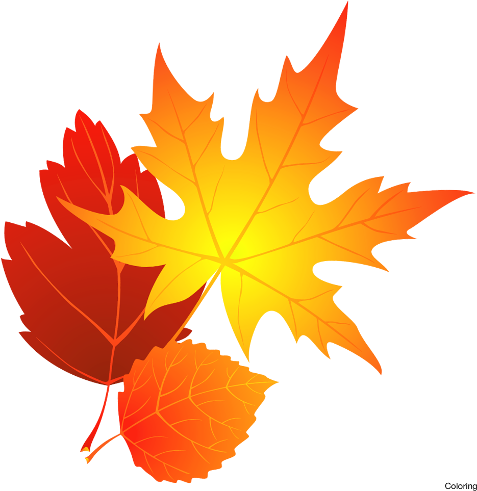 Foliage Clipart Free Fall - Transparent Background Fall Leaves Clipart (994x985)