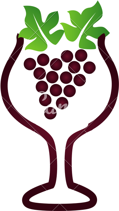 Grape Wine Concept - Grape Wine Concept (800x800)