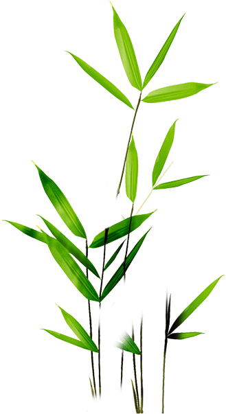 Fresh And Dry - Alsace Aoc (386x695)