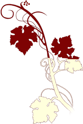 Vin Valençay Et Touraine - Vin Valençay Et Touraine (400x496)