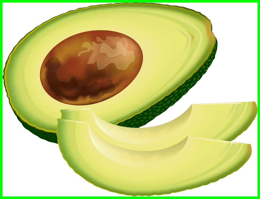 Inspiring Fruit Vegetable Feebase Net Of Garlic - Avocado Clip Art Free (908x693)