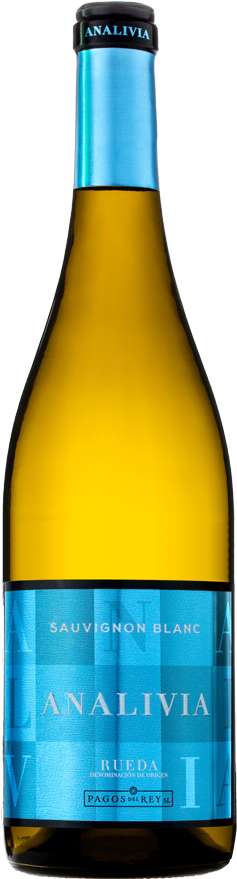 Sauvignon Blanc (640x892)