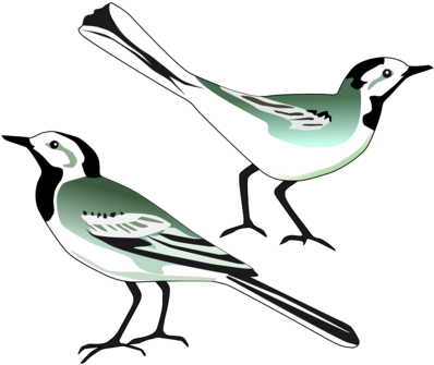 Bird Nest White Wagtail Computer Icons Drawing - Klip Art Burung (405x340)