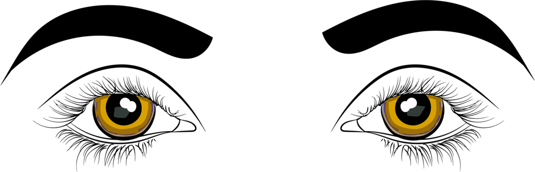 Human Eye Drawing Clip Art For Liturgical Year Cartoon - Clipart Picture Of Eyes (1053x340)