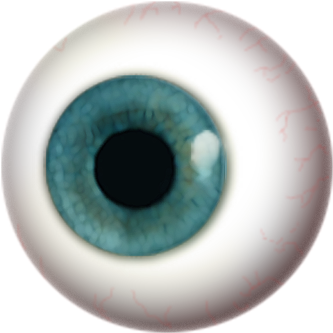 Real Eyeball Png - Eyeball With No Background (400x400)