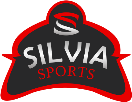Sports Balls - Illustration (445x405)