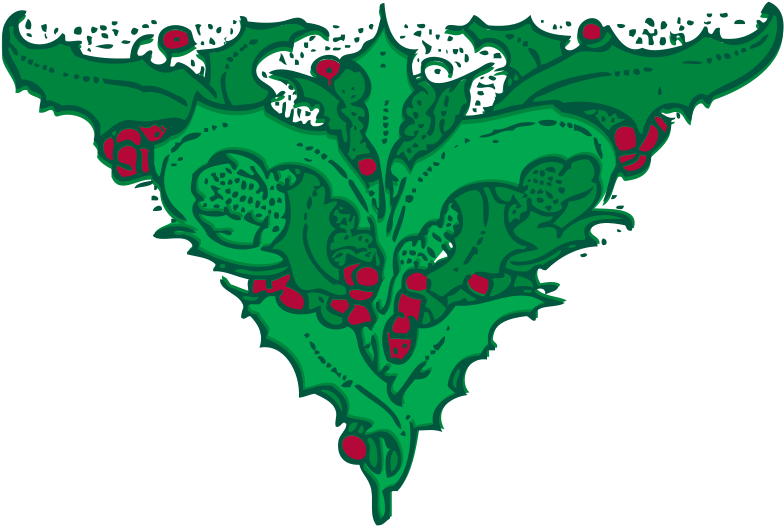 Vischio E Agrifoglio Illustrazione Png (800x537)