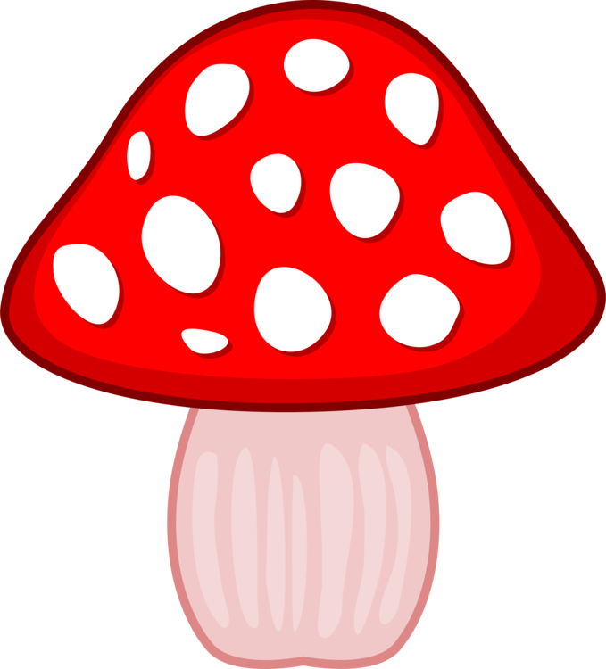 Food Mushroom Technical Support - Portable Network Graphics (679x750)