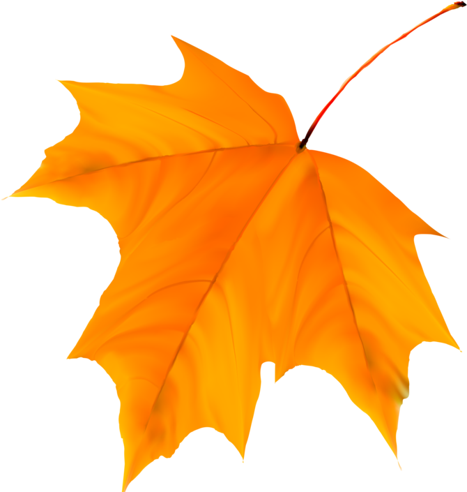 Clip Art - Hoja Amarilla Png (751x800)