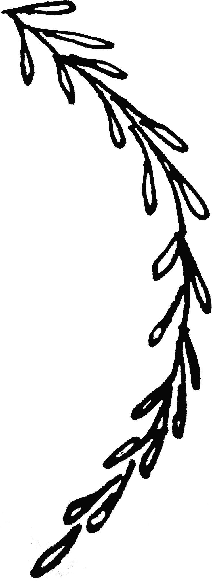 Dropbox Is A Free Service That Lets You Bring Your - January Goals (737x2016)