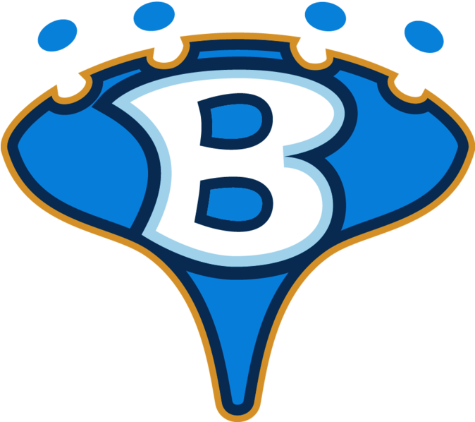 A Neuro-feedback Game For Children In The Autistic - Brain (673x623)