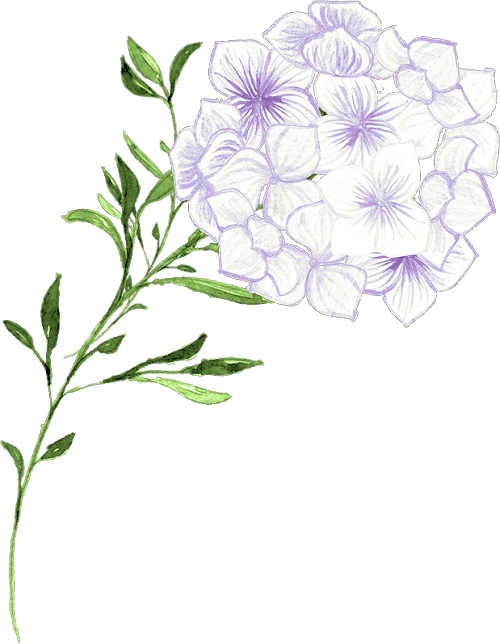 Field Marigold (500x644)