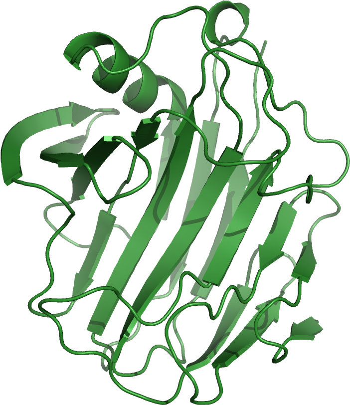 File - 1nlrribbon - Cellulase: Production, Applications And Health Benefits (752x845)