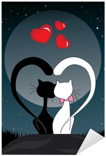 Black And White Cats In Love - Recente Immagini Buonanotte Belle (400x400)