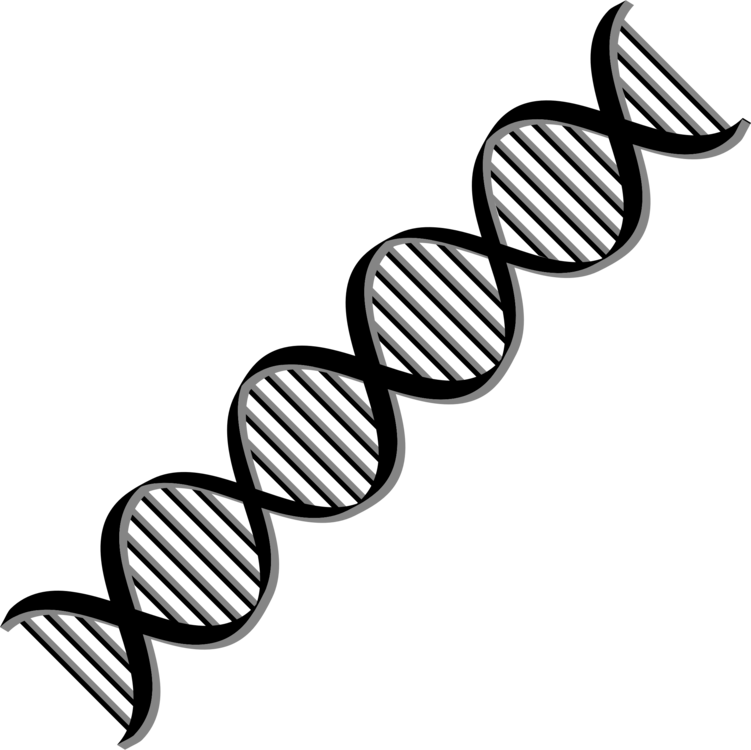 Dna Nucleic Acid Double Helix Computer Icons Cell - Dna Png (751x750)