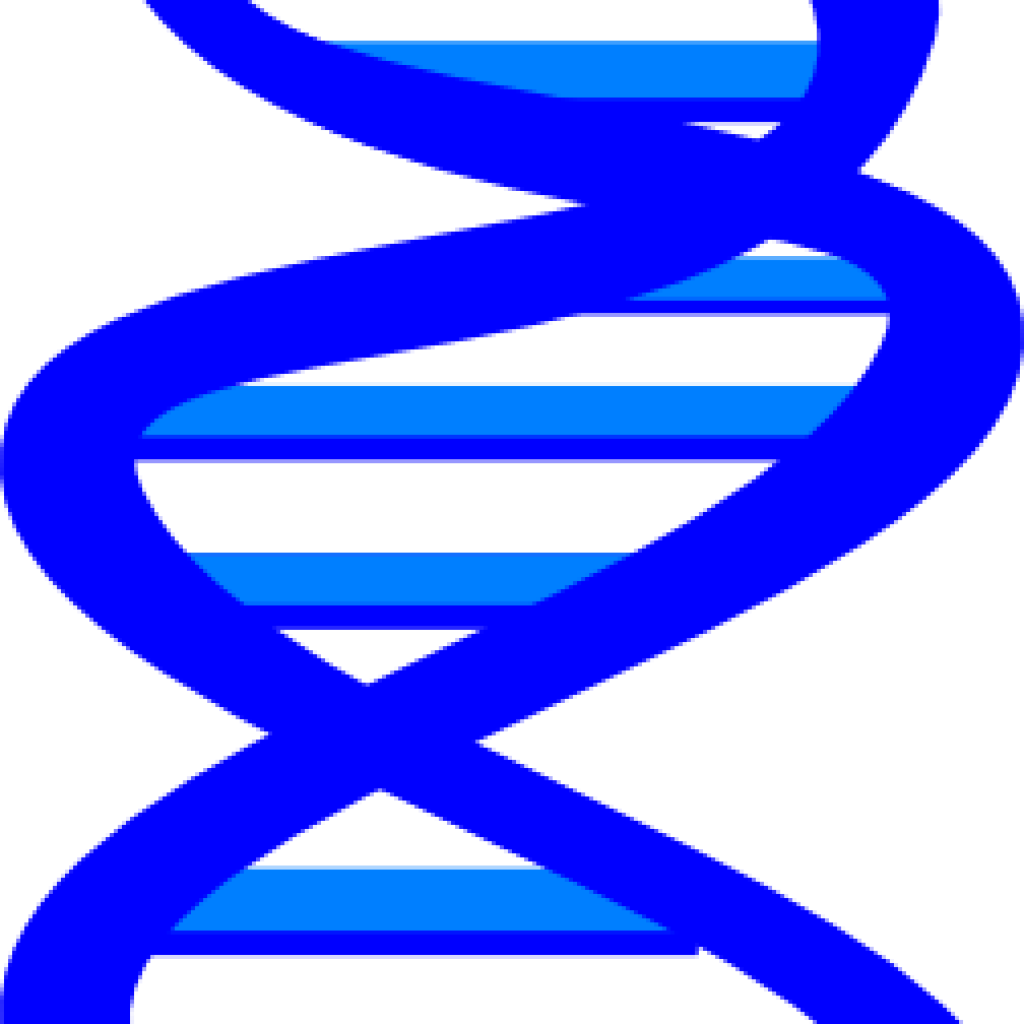 Dna Clip Art Dna Clip Art At Clker Vector Clip Art - Clip Art (1024x1024)