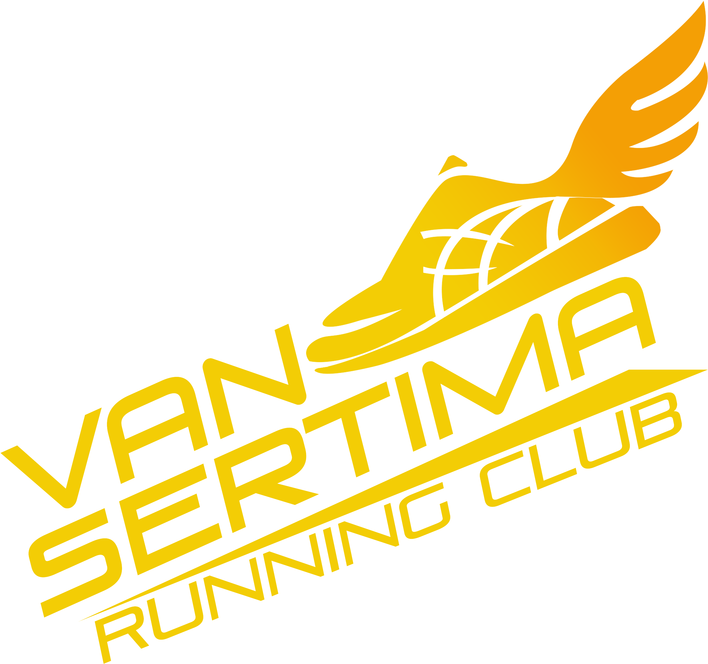 Van Sertima Elite 5k And Fun Run - Van Sertima Elite 5k And Fun Run (2999x2999)