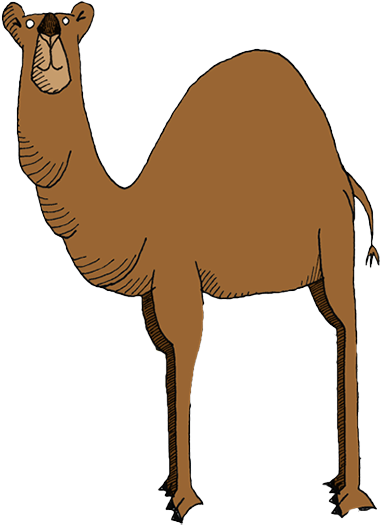 15k, 5k, And Elementary 1 Mile A Fundraiser For The - Camelback Mountain Resort (380x525)