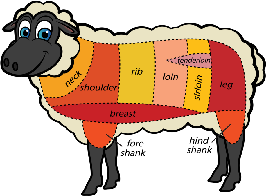 All You Ever Needed To Know About - Lamb Shank Part Of Sheep (920x686)