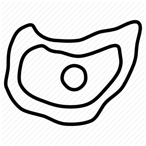 Beef Vector Stake - Library (512x512)