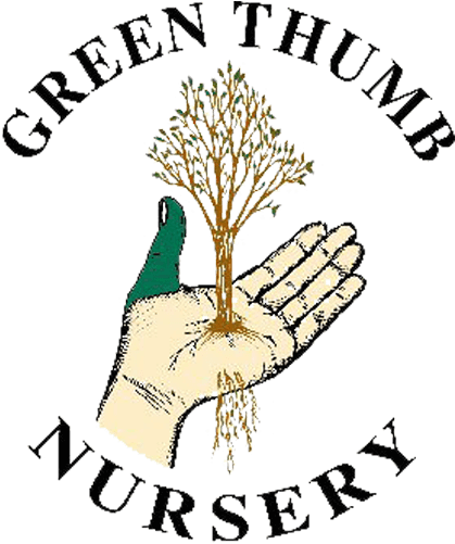 Green Thumb Nursery - Green Thumb Nursery (800x500)