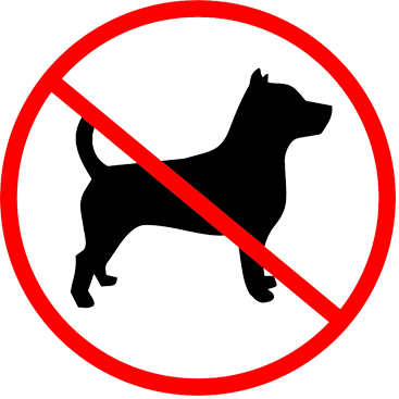 Whilst We Are A Dog Friendly Railway We Regret We Do - No Dogs (367x367)