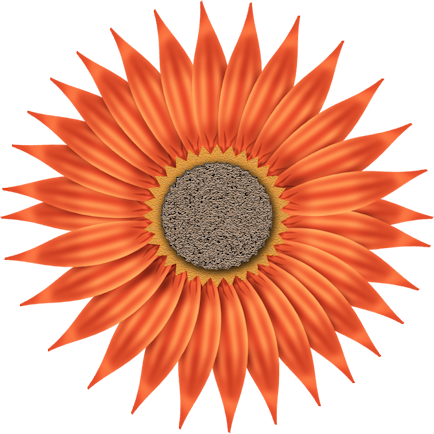 Fm So Excited Element 2 - Sold Out Signs (434x434)