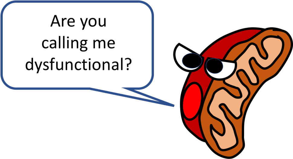 Mitochondrial Dysfunction (1200x600)