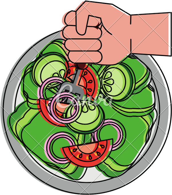 Salad Healthy Food Vector - Food (800x800)