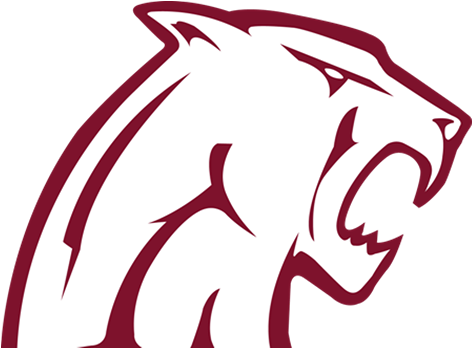 Concordmountain Lions - Concord University Football (500x500)