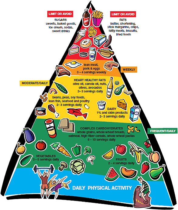 Above Image - Link - Http - //www - Wakemed - Org/body - Heart Healthy Food Pyramid (600x708)