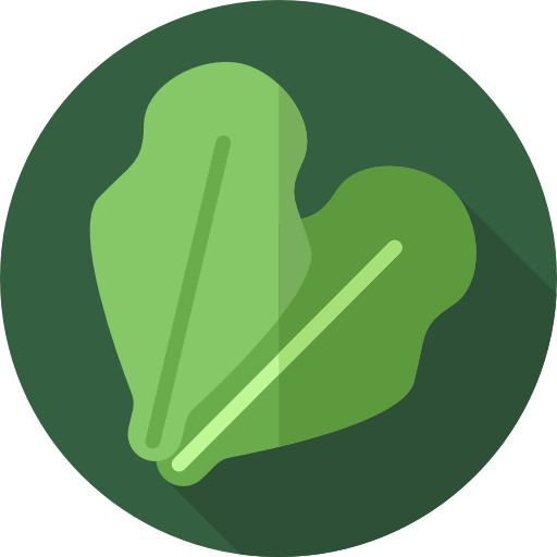 Lettuce Icon Circle (512x512)