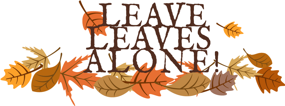 Leave Leaves Alone Logo - Logo (994x412)