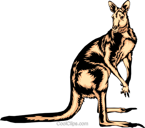 Kangaroo Royalty Free Vector Clip Art Illustration - Potato (480x423)