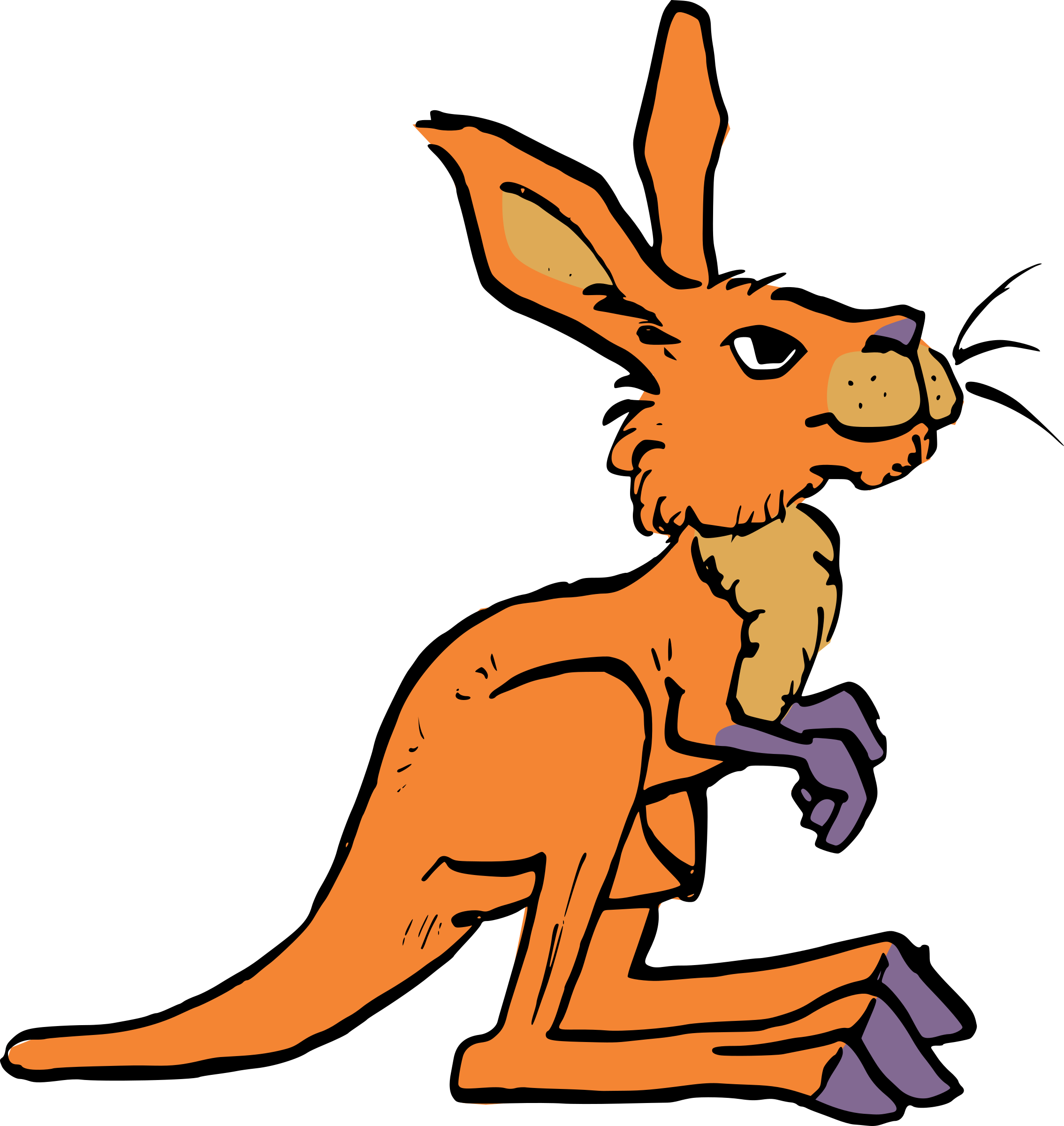 All Photo Png Clipart - Kangaroo (2268x2400)