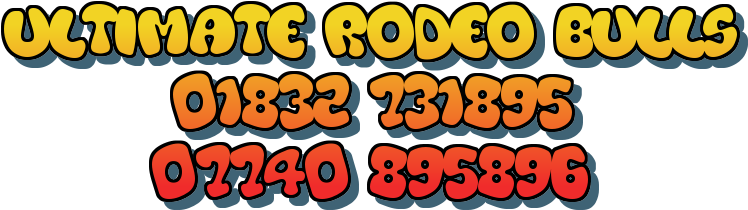 Ultimate Rodeo Bulls - Bull (763x225)