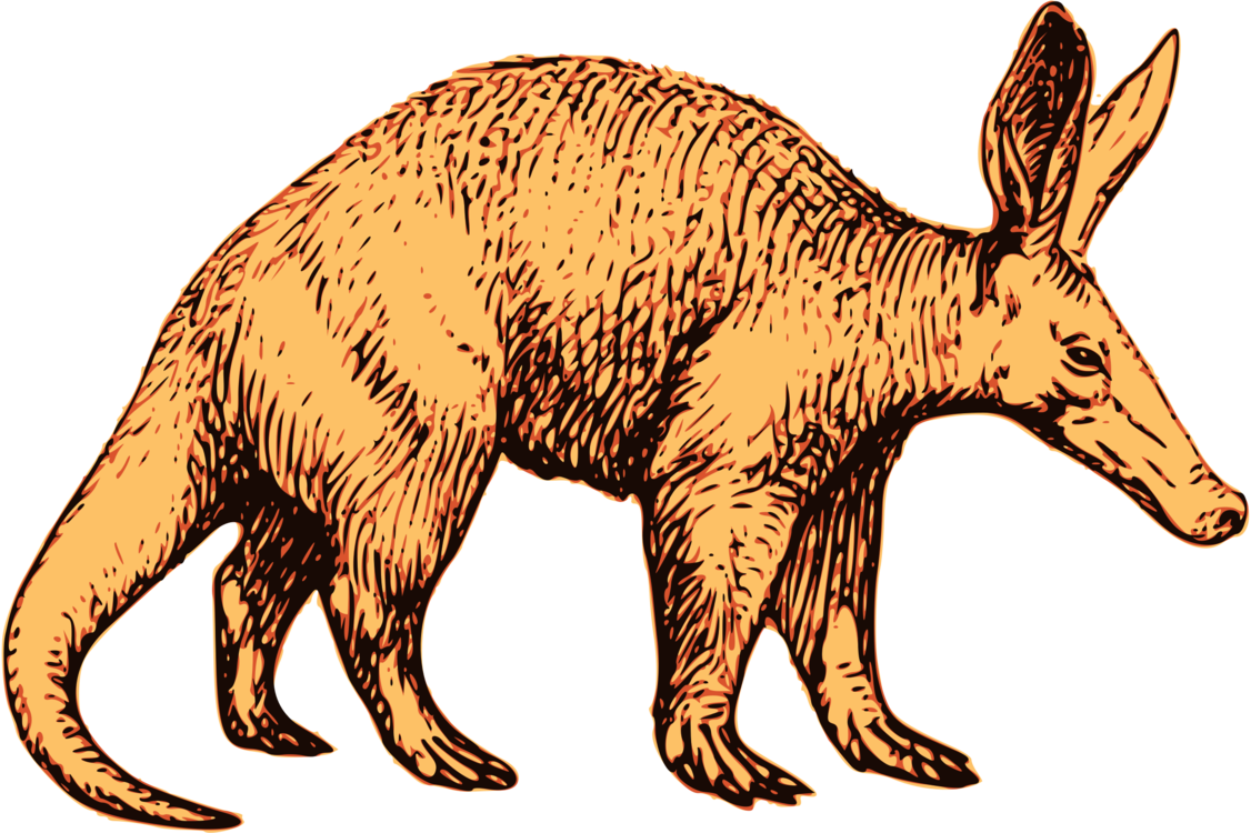 All Photo Png Clipart - Aardvark Clipart (1126x750)