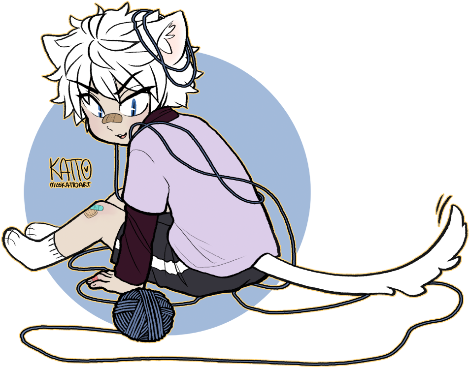 Cat Killua Yarn - Cartoon (1084x847)