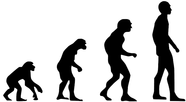 Some Transitions Take Longer Than Others - Evolution Of Man Silhouette (960x400)