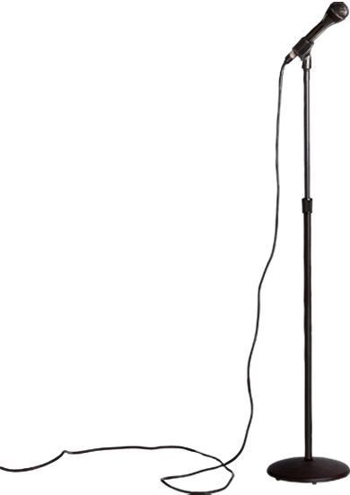 Microphone - Microphone With Stand Png (390x551)