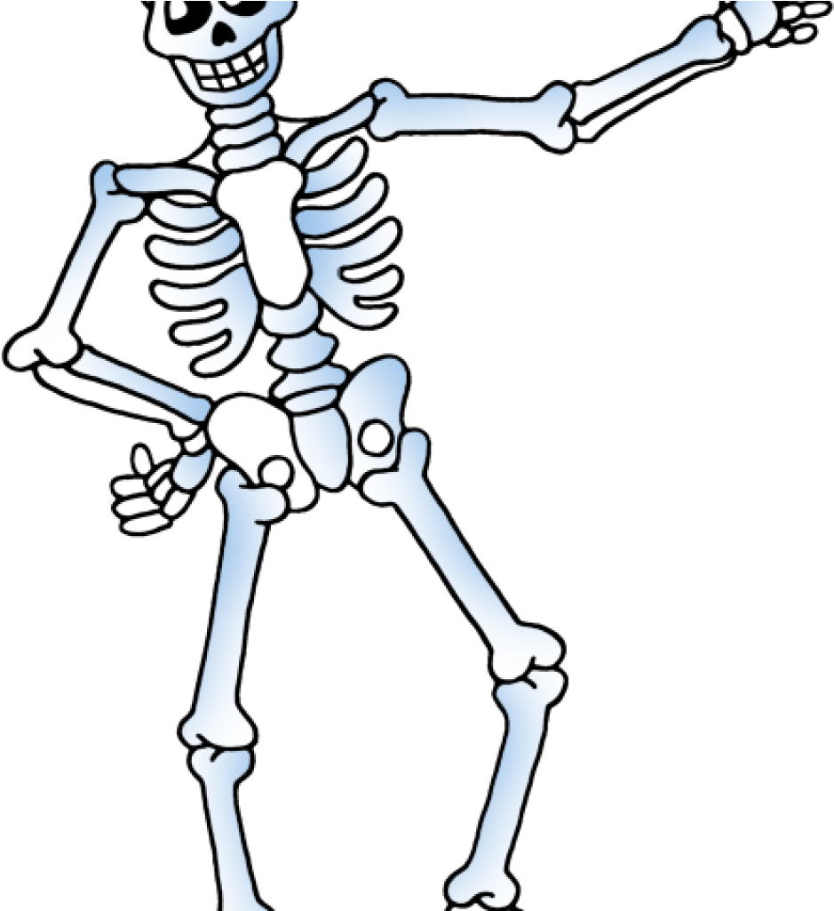 Skelton Clipart Free Skeleton Clipart Public Domain - Free Skeleton Clip Art (1024x1024)