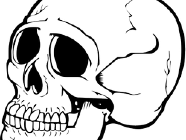 Skeleton Clipart Nose - Sitzplatz New Rock 40082 4 Toilet Seat (640x480)