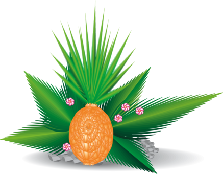 Leaf Palm Trees Drawing Plants - Hojas De Palmera Usos (437x340)