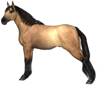 Black Race Horse Transparent Png Stickpng - Cheval,débardeur Bio Pour Femmes (400x400)