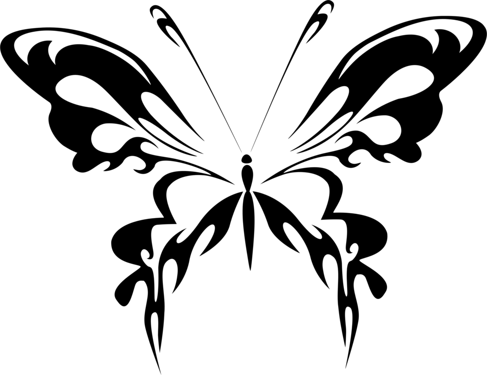 Butterfly Line Art Drawing Abstract Art - Vektor Kupu Kupu Hitam Putih (972x750)