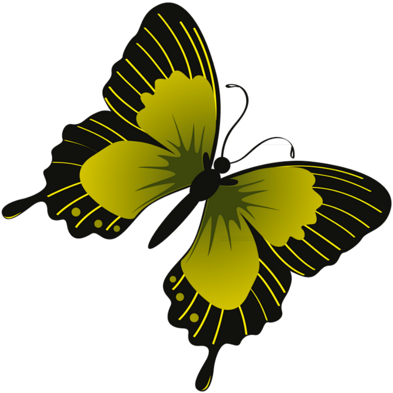 ‿✿⁀butterflies‿✿⁀ Butterfly Clip Art, Butterflies, - Butterfly (789x800)