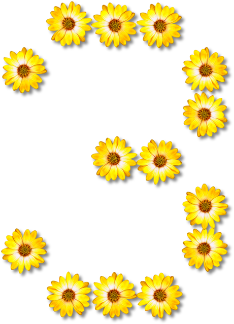 Common Sunflower Number Line Art Letter - Clip Art (537x750)