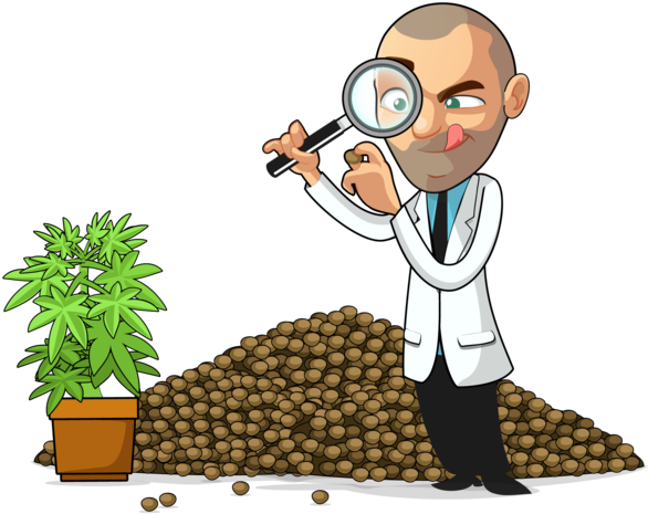 Other Clipart Seed Growth - Growing Cartoon Weed (600x600)