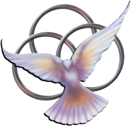 Unity Christian Fellowship - European Swallow (493x500)