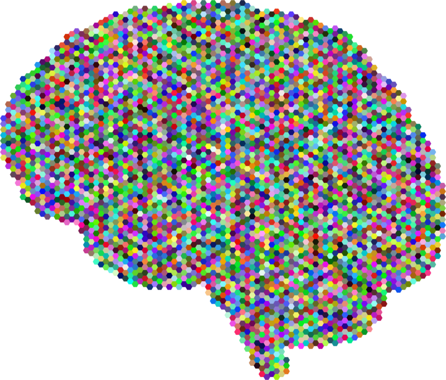 Human Brain Computer Icons Drawing Skull - Lsd Transparent (879x750)